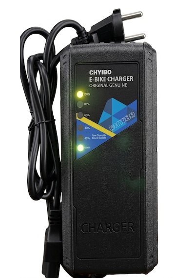 60v 50-80ah Akıllı Elektrikli Bisiklet & Motor Şarj Aleti Otomatik Devre Kesicili 1