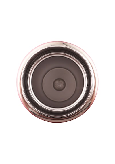 Casual Thermos 450 Ml | 304 Paslanmaz Çelik, Çift Cidarlı Vakum Yalıtımlı 1