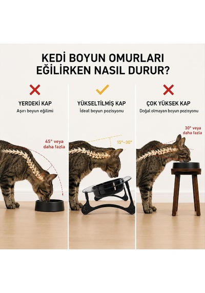 Mama Kabı, Mama Ve Su Kabı, Kedi Mama Kabı, Kedi Mama Ve Su Kabı, Köpek Mama Kabı, Kedi Mama Kapları, Köpek Mama Ve Su Kabı, 15 Eğimli Yüksek Çift Kaseli Transparan+siyah