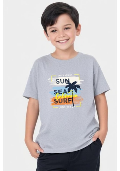 Panios Kids California Sun Baskılı Erkek Çocuk Kısa Kollu Yuvarlak Yaka T-shirt Gri