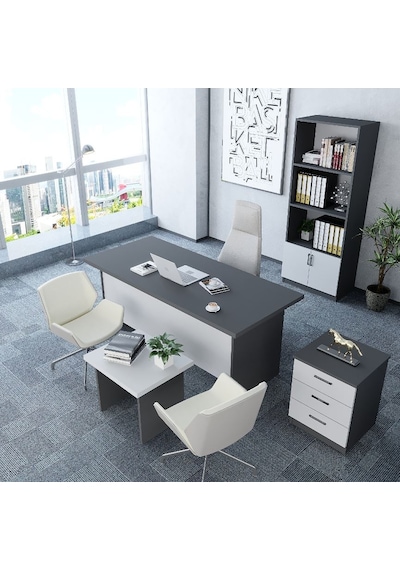 Plus 4'lü Ofis Takımı  Model 7 Füme Beyaz