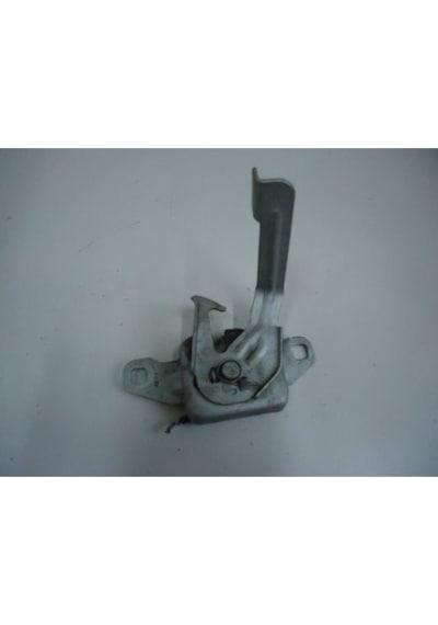 Lodgy Kaput Kilidi 656013195R