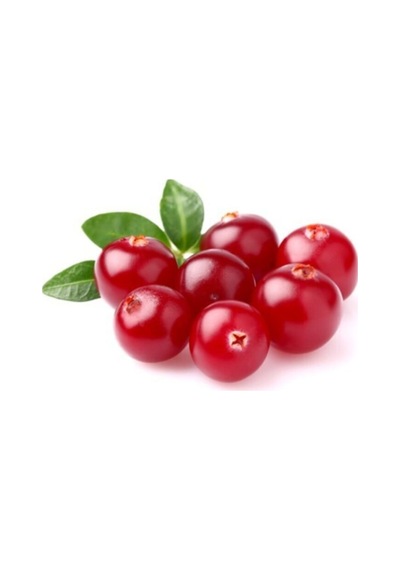 Cranberry Tohumu Turna Yemişi Tohumu Ekim Seti 5 Adet Tohum + Toprak + Saksı