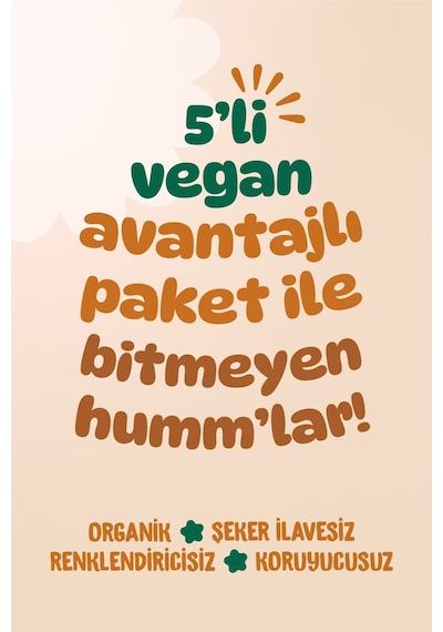 Hummorganic Organik Vegan Ara Öğün Atıştırmalık Paketi- 5 adet (5 çeşit)