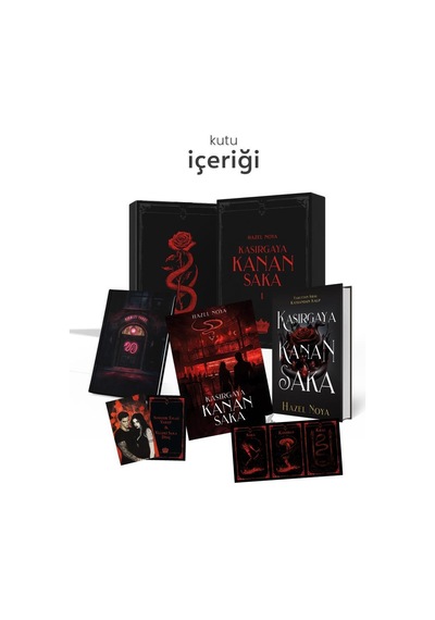 Kasırgaya Kanan Saka 1 Hediyeli Özel Kutu Ciltli