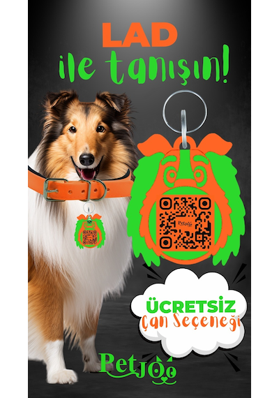Petjoo 23.Lad Yeşil-Turuncu Qr'lı Köpek Künyesi