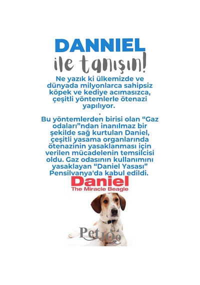 Petjoo 21.Danniel Gri-Mavi Qr'lı Köpek Künyesi