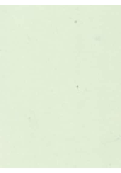 Wagner Boya Innenfarbe Silikonlu Iç Cephe Boyası 7,5 Lt