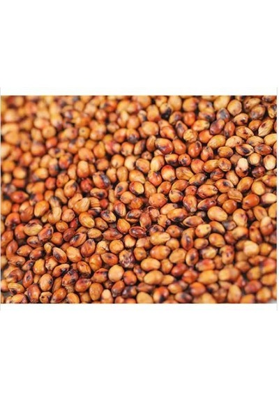 Sorgum Sudan Otu Tohumu 1 KG N118065