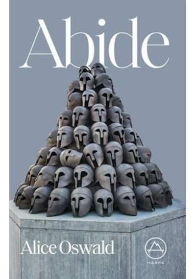 Abide N11.5568
