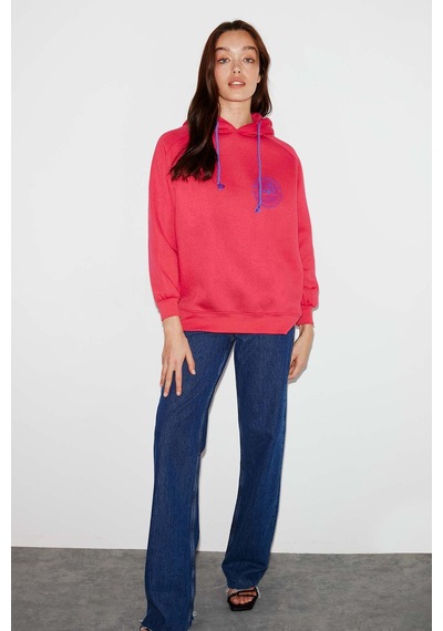 Ethıquet Polınıa Kadın İçi Polarlı Göğsü Baskılı Regular Fit Kontrast Kordonlu Kapüşonlu Pembe Sweat Mavi