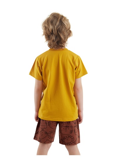 Denokids Wild Erkek Çocuk T-shirt Şort Takım Çok Renkli