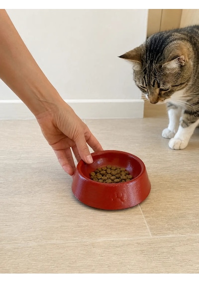 Pati Desen Model Beton Kedi Köpek Mama Ve Su Kabı 13 Cm Çap X 4 Cm - Kiremit