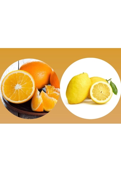 Tüplü Aşılı Bodur Saksılık Nevalina Portakal+ Yediveren Limon 5 Yaş