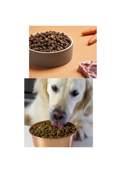 Tougy Kuzulu Yetişkin Köpek Maması 15 Kg