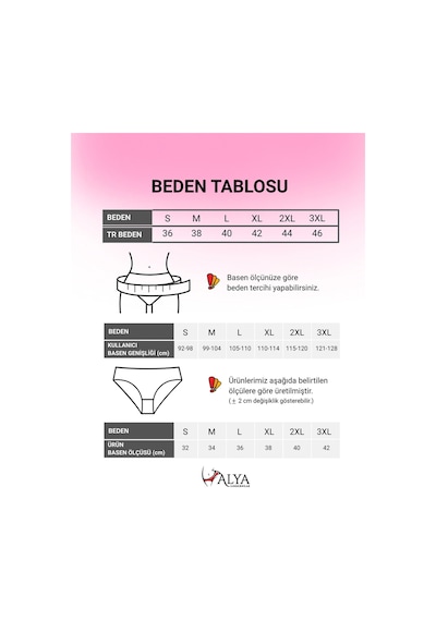 Alya Underwear Kadın Pamuklu Hipster - Slip Külot 5 Farklı Renk 1 Pakette Çor Renkli