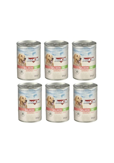 Jöleli Somonlu Yaş Yetişkin Köpek Maması 6 X 400 Gr