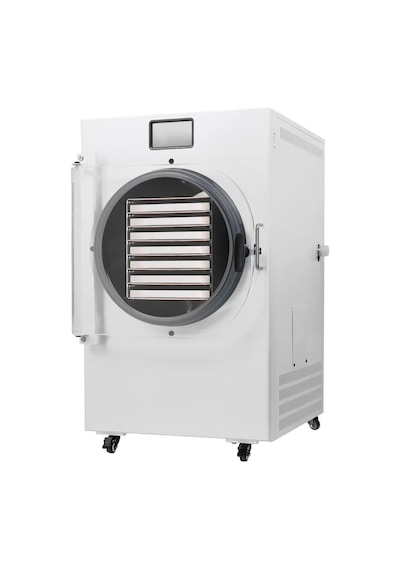 Dalle Dfd-20 Yüksek Teknolojili Freeze Dryer Dondurarak Kurutma Fırını - Liyofilizatör