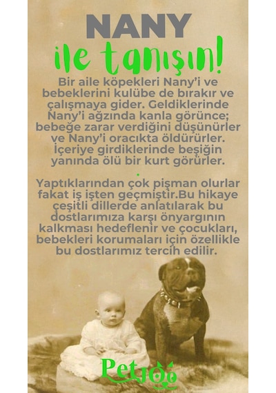 Petjoo 17.Nany Yeşil-Gri Qr'lı Köpek Künyesi