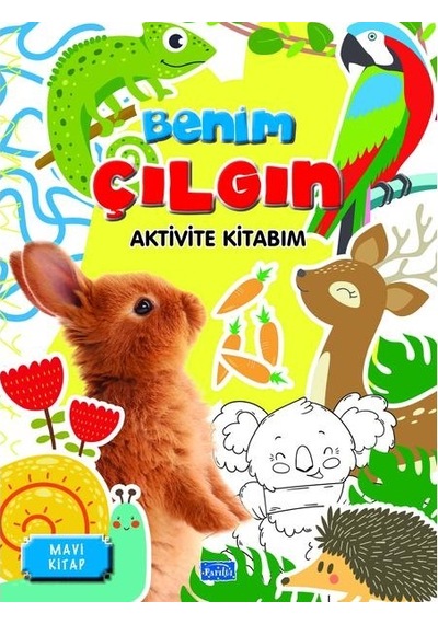 Benim Çılgın Aktivite Seti 4 Kitap