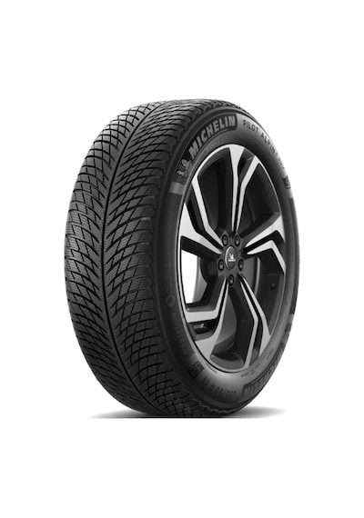 Michelin 275/50R21 113V XL Pilot Alpin 5 SUV Kış Lastiği 2023