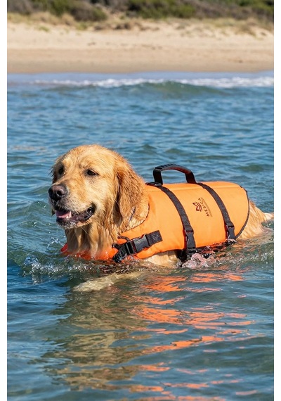 Köpek Can Yeleği Pawsaver Kolay Kaldırma Tutamaklı