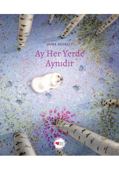 Ay Her Yerde Aynıdır