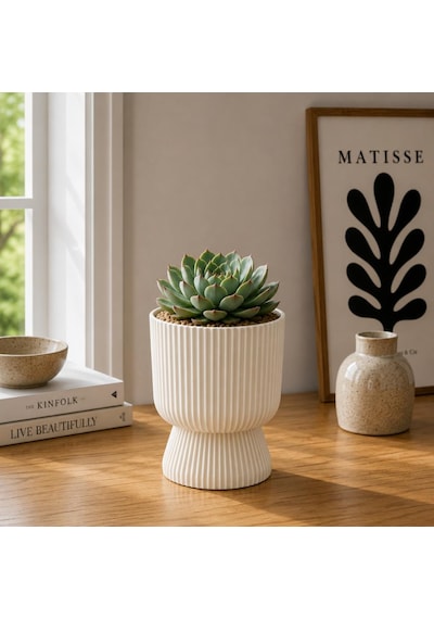 So-ltsa01 Lotus Ayaklı Plastik Vazo Çiçek Saksı 1.8 Litre No:1 Kum Beji 6 Adet