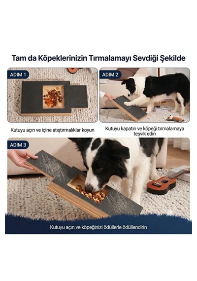 Reyo Köpekür Köpekler İçin Tırnak Törpüleyen Tırmalama Ve Eğitim Tahtası