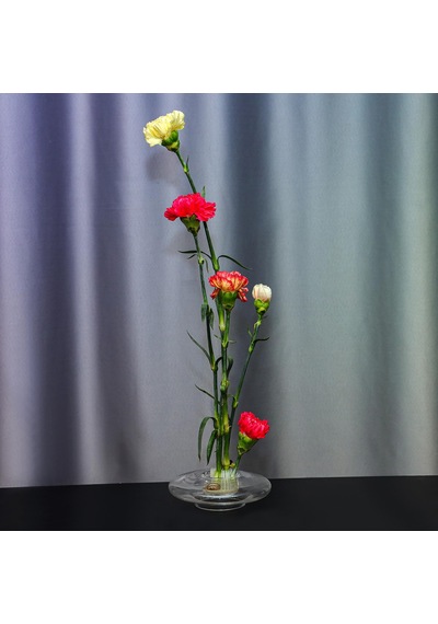 Flora Design-balance Series Cam Vazo Şeffaf