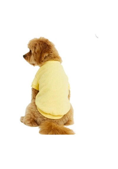 Gedyco Lemon Yellow Küçük Irk Köpek Likralı Triko-21567