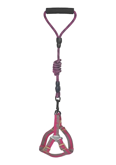 Köpek Göğüs Tasma Seti Dalga Desenli 2 Cm 40-58 Cm Mor-pembe Pembe