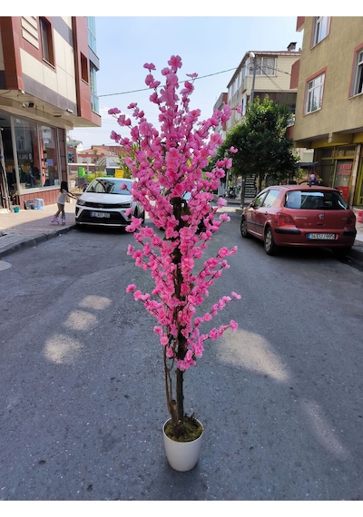 Rüzgar Yapay Çiçekçilik 175 Cm Beyaz Saksida Pembe Bahardali Ağacı Pembe