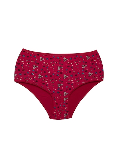 6 Adet Kadın Slip Külot Pamuk 001