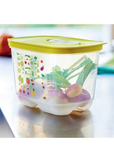Tupperware Sera 18 Saklama Kabı - Kare Çok Renkli