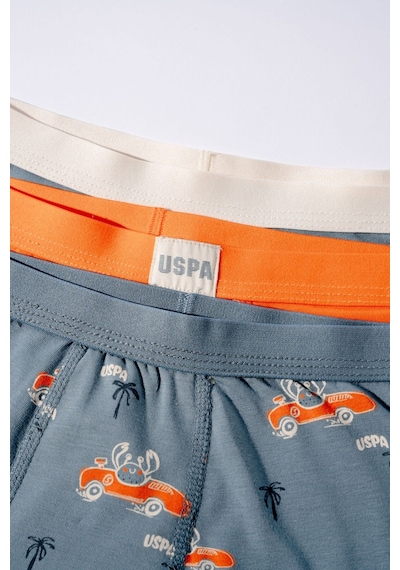 U.S. Polo Assn. Erkek Çocuk Yeşil İç Giyim 5274-49096 Pastel Yeşili-turuncu