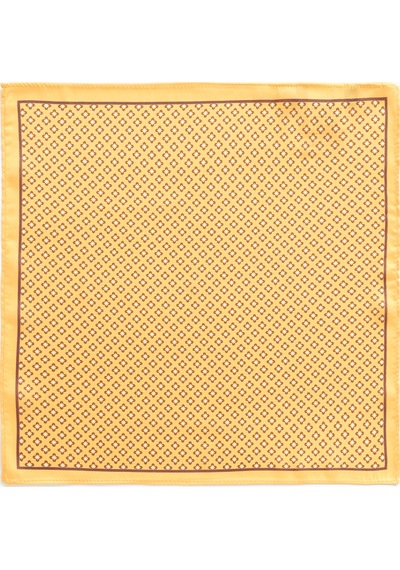 Ac&Co / Altınyıldız Classics Erkek Sarı Desenli Mendil Sarı