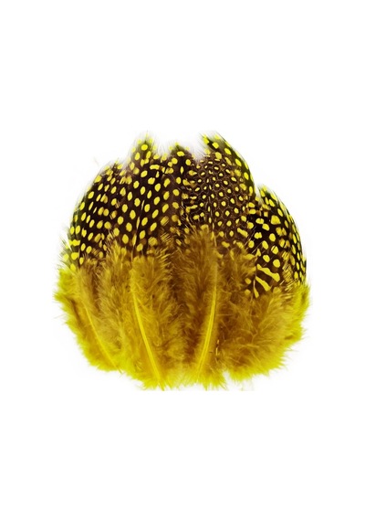 100 Pcs Decor Yellow Bırd Feather 100 Adet Puantiyeli Sarı Siyah Kuş Tüyü Dekor Sarı Kuş Tüyü Diğer