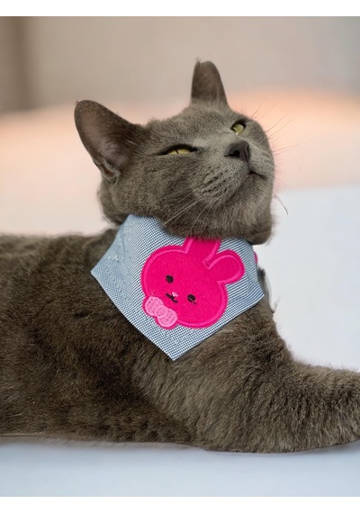 Kemique Pink Bunny Bandana Fular Kedi Kıyafeti