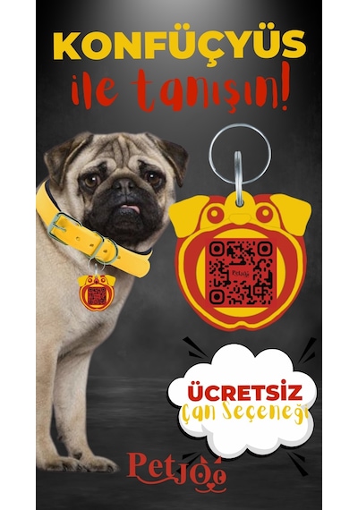 Petjoo 9.Konfüçyüs Kırmızı-Sarı Qr'lı Köpek Künyesi
