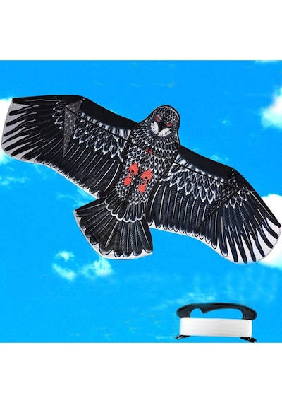 Fiberglass 3d Kartal Eagle Kuş Desenli Uçurtma Oyuncak Geliştirme Parti Eğlenceli Çocuk Oyuncakları