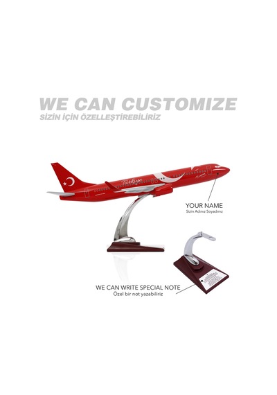 Zekupp - Maket Uçak - Boeing 737-800 1/100 - TÜRKİYE ÖZEL TASARIMLI Model Uçak, Model E