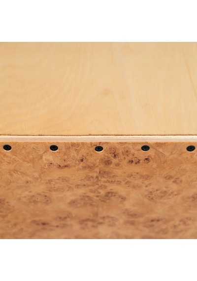 Sela Seıc3 Cajon Iconic Oak Roots