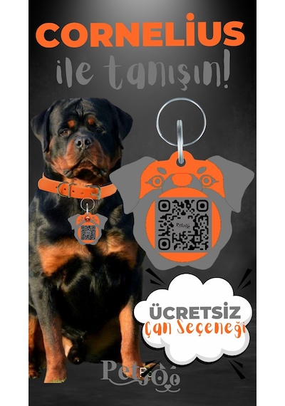 Petjoo 20.Cornelius Gri-Turuncu Qr'lı Köpek Künyesi