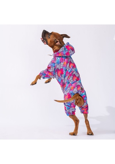 Pawstar Palmatum Orta Büyük Irk Köpek Tulum Köpek Yağmurluğu