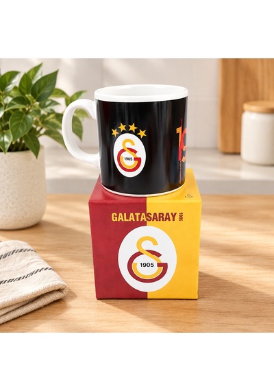 Taraftar Kupa Galatasaray