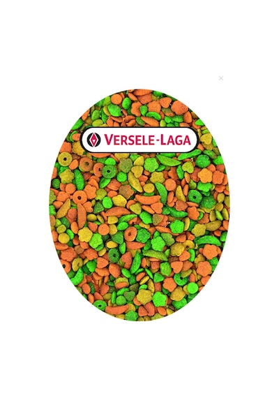 Versele Laga P15 Tropical Meyveli 250g Renkli