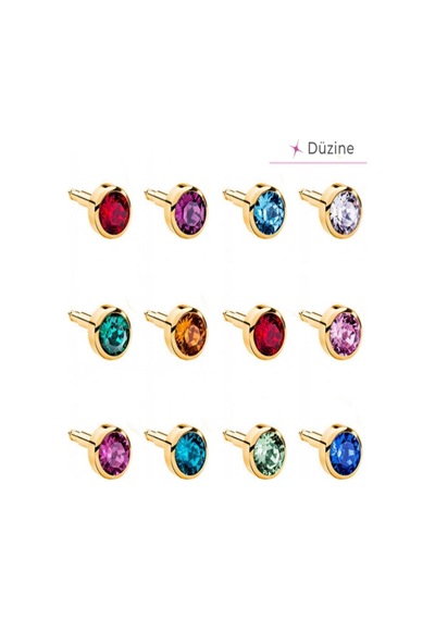 Gold Assorted Kulak Delme Küpesi 12 Çift Karışık Gold