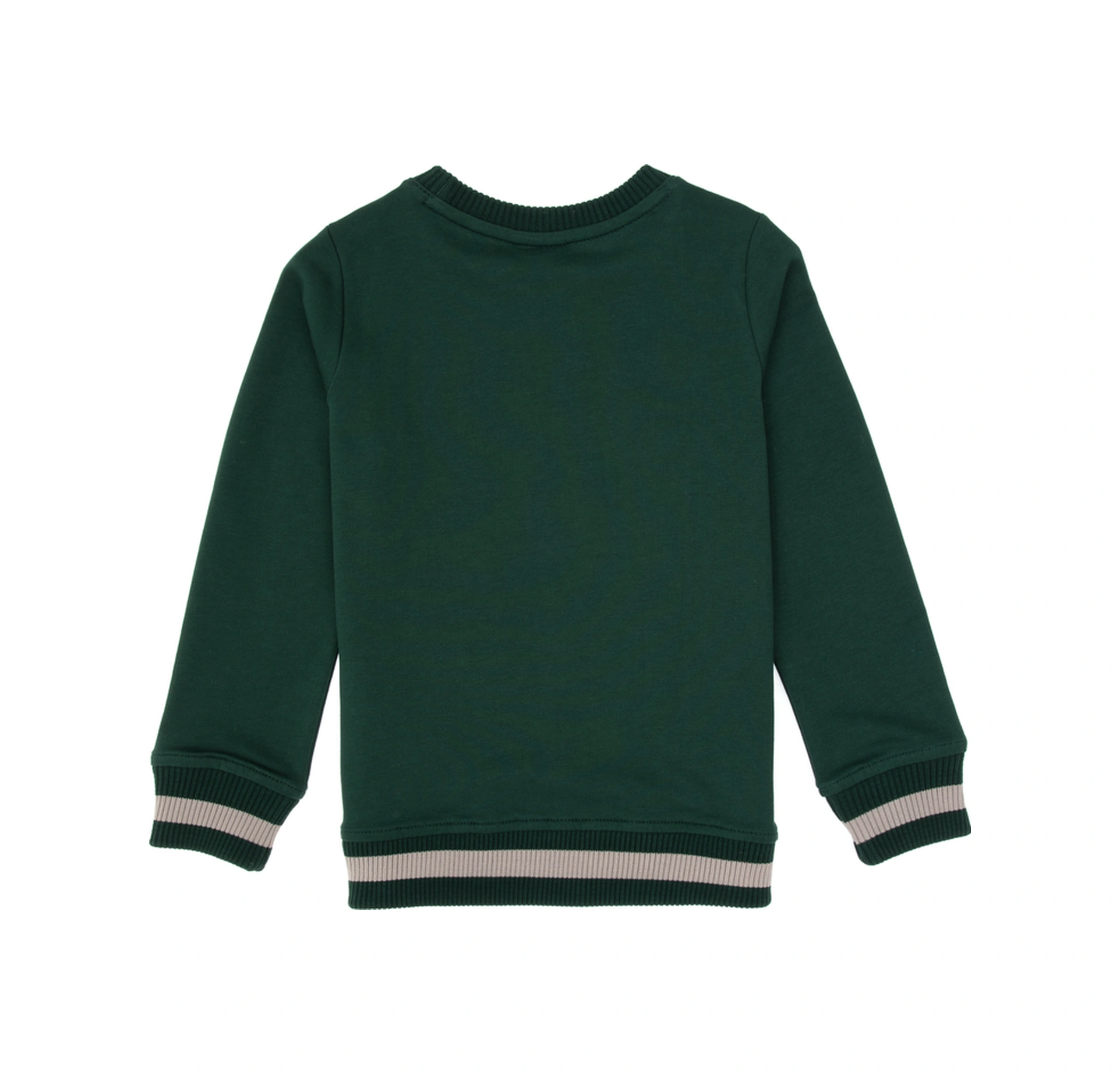 U.S. Polo Assn. Erkek Çocuk Koyu Yeşil Bisiklet Yaka Basic Sweatshirt 50314006-VR079 U.S. Polo Assn. Erkek Çocuk Koyu Yeşil Bisiklet Yaka Basic Sweatshirt 50314006-VR079