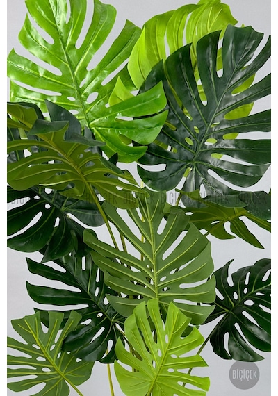 Biçiçek Yapay Monstera Ağacı Deve Tabani 160 Cm Si̇yah Vega Saksıda